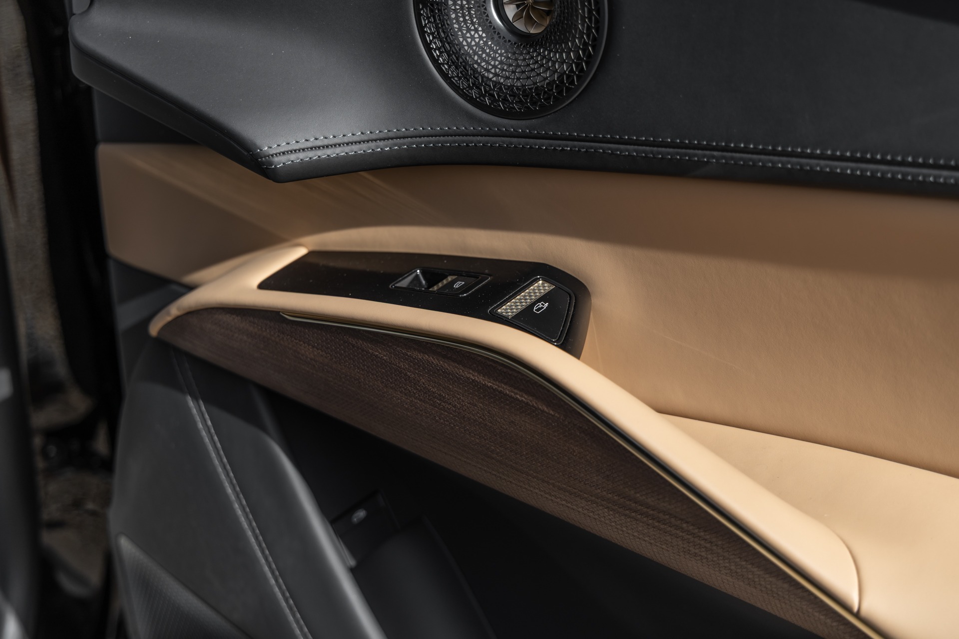 Panneau de porte avec inserts en bois – LOTUS – ELETRE R – 2021 – Noir Stellar – 11 900 km – 918 ch – Electrique – Transmission : Automatique – Origine France – Privaty Cars – Spécialiste LOTUS d’occasion en Charente-Maritime
